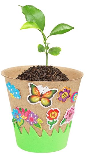 Earth Day Craft for 